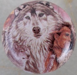 Cabinet knob Wolf and Indian