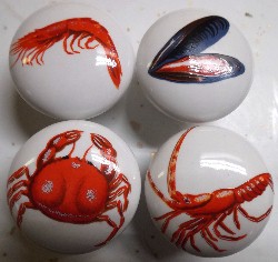 cabinet knobs oyster crabs