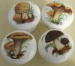 Cabinet knobs pulls Mushrooms