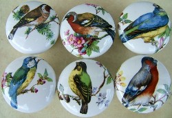 Cabinet knobs 6 Domestic Birds #4