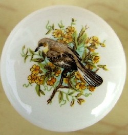 Cabinet knobs Mocking Bird