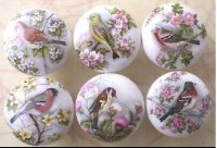 Cabinet knobs 6 Domestic Birds