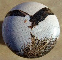 Cabinet knobs Eagle at nest