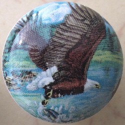 Cabinet knob Soaring Eagle