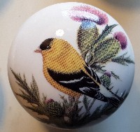 Cabinet knobs Goldfinch