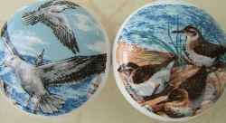 CERAMIC CABINET KNOB SEAGULL SEAGULLS