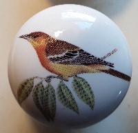 Cabinet knobs Oriole