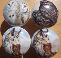 CERAMIC CABINET KNOB OWL OWLS