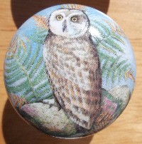 Cabinet knob Owl