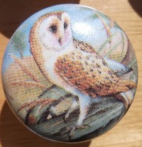 Cabinet knob Owl