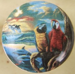 CERAMIC CABINET KNOB PARROT 