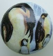 Cabinet knob Penguin