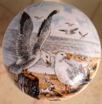 CERAMIC CABINET KNOB SEAGULL SEAGULLS