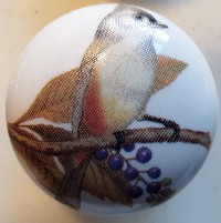 CERAMIC CABINET KNOB Titmouse Bird