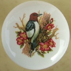 Cabinet knobs Woodpecker