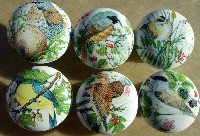 Cabinet knobs 6 Domestic Birds