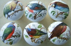 Cabinet knobs 6 Domestic Birds