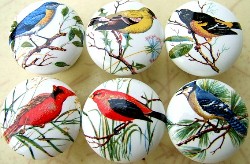 Cabinet knobs 6 Domestic Birds