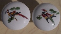 Cabinet knobs Birds of Paradise