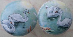 Cabinet knobs 2 Swans