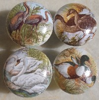 Cabinet knobs 4 Wild Birds