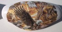 Ceramic Drawer pull Eagle Collage