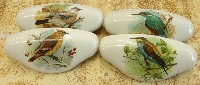 Drawer pulls domestic birds