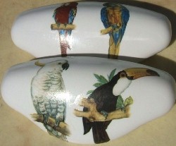 CERAMIC drawer pull  PARROT  EXOTIC BIRD macaw tucan