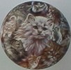 Cabinet knob Cat Collage