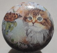 CERAMIC CABINET KNOB pulls CATS KITTEN TABBY CALICO 