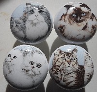 Cabinet knobs Four Cat Family