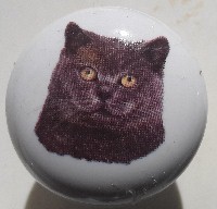 CERAMIC CABINET KNOB pulls CATS KITTEN blue russian