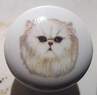 CERAMIC CABINET KNOB pulls CATS KITTEN  Chinchilla