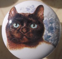 CERAMIC CABINET KNOB pulls CATS KITTEN absynian