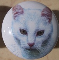 CERAMIC CABINET KNOB pulls CATS KITTEN  white short hair