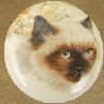 CERAMIC CABINET KNOB pulls CATS KITTEN HIMILAYAN 