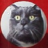 Cabinet knob pulls Black Cat Head