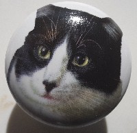 CERAMIC CABINET KNOB pulls CATS KITTEN BLACK white