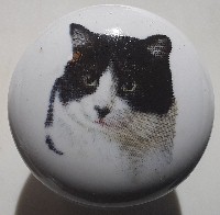 CERAMIC CABINET KNOB pulls CATS KITTEN BLACK white