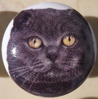 CERAMIC CABINET KNOB pulls CATS KITTEN blue russian