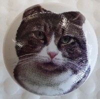 CERAMIC CABINET KNOB pulls CATS KITTEN TABBY 