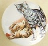 CERAMIC CABINET KNOB pulls CATS KITTEN orange grey gray tabby