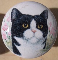 Cabinet knob pulls black white cat