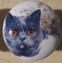 CERAMIC CABINET KNOB pulls CATS KITTEN blue russian