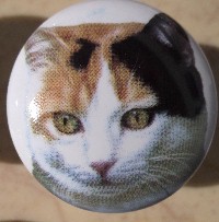 CERAMIC CABINET KNOB pulls CATS KITTEN patched TABBY CALICO 