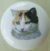 CERAMIC CABINET KNOB pulls CATS KITTEN patched TABBY CALICO 