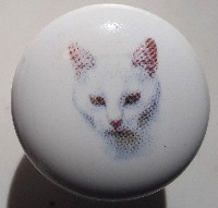 CERAMIC CABINET KNOB pulls CATS KITTEN  white short hair