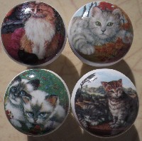 Cabinet knobs 4 Patio Cats