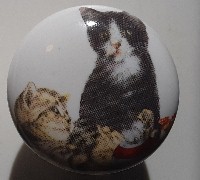 Cabinet knob pulls Cute Kittens cat