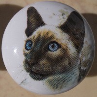 cabinet knob pulls siamese cat